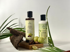 Shampoo and Conditioner Combo (Pack of 2)